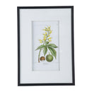 19.7x27.6 Botanical Wall Arts, Set of 2