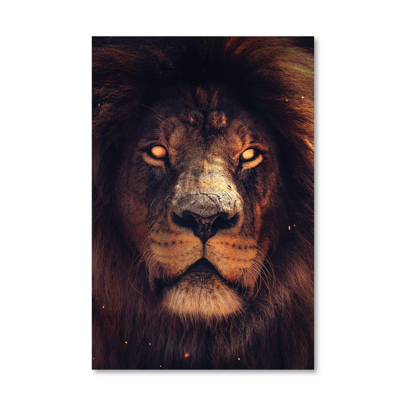 Exotic Lion Canvas