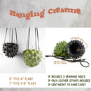 The Creature Orb Hanging Planter Pot With Drainage