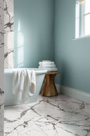 MSI Lux Iceberg 24x48 Tile