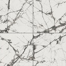 MSI Lux Iceberg 24x48 Tile