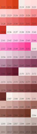 Extra Painting Set (24 Colors)