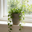 Large Outdoor Indoor Planter Set of 3
