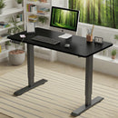 Polaris Electric Standing Desk - 55"×24"