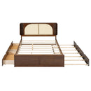 Headboard Bed With 2 Drawers And Trundle by Unique Piece Furniture