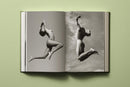 Bruce Weber. My Education (German, French, English)