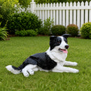 Outdoor Garden Border Collie Dog Statue Greeter by HouseOfZazla