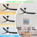 Smart Ceiling Fan With Lights, 3 Blades, Reversible Quiet DC Motor For Indoor by Unique Piece Furniture