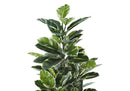 52" Tall Artificial Rubber Tree Indoor Plant by HouseOfZazla