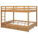 Sturdy Bunk Bed With Ladder by HouseOfZazla