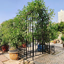 Metal Garden Arch with Gate and Planter for Climbing Plants by HouseOfZazla