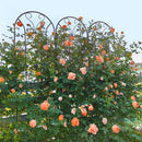 4 Pack Metal Garden Trellis 86.7'' x 19.7'' Rustproof Black by HouseOfZazla