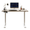 55"×24" Light Electric Standing Desk