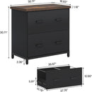 2 Drawer Lateral File Cabinet, A4 / Letter Size, Heavy Duty Storage For Home Office - Brown / Black by HouseOfZazla