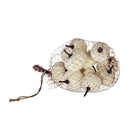 Velvety Pumpkin In Mesh Bag, Bag / 12, For Holiday Harvest Festival Fall Festival & Thanksgiving (Set of 4) - White by HouseOfZazla