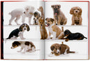 Walter Chandoha. Dogs. Photographs 1941–1991 (English)