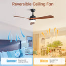 Ceiling Fan With 3 Blades, Remote Control, Reversible DC Motor, Noiseless Operation, 3 Downrods by HouseOfZazla