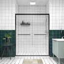 56-60"x74" Aluminum Frame Double Sliding Shower Door