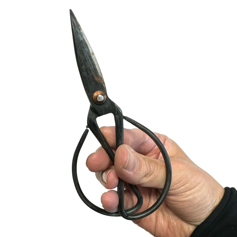 Plastic Pruning Scissors Prop