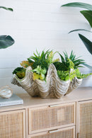 19.7x10.6x5.5" Decorative Shell Bowl