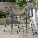 Sawtelle Outdoor Wicker Barstools (Set of 2) by HouseOfZazla