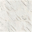 Natural Marble Polished Tile For Wall And Floor (Set of 4) by HouseOfZazla