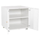 Office Furniture Copier Cabinet 2 Door Steel Copier Stand Mobile Pedestal File Printer Stand by HouseOfZazla