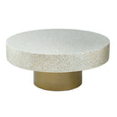 Unique Capiz Coffee Table & Pedestal Base by HouseOfZazla