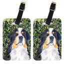 Bernese Mountain Dog Luggage Tag