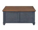 Lift-Top Coffee Table - Blue by HouseOfZazla