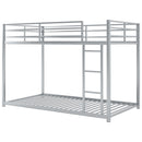 Metal Bunk Bed, Low Bunk Bed With Ladder by HouseOfZazla