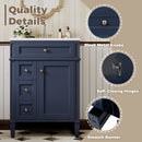 24'' Bathroom Vanity with Top Sink and Storage Cabinet by HouseOfZazla