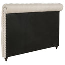 Devon 57-inch Upholstered Full Headboard Beige