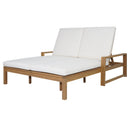 TREXM Outdoor Double Lounge Chair with 5-Position Adjustable Backrest