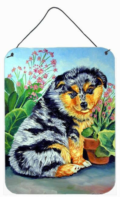 Australian Shepherd Puppy Aluminium Metal Wall or Door Hanging Prints