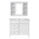 Bathroom Vanity With Mirror Cabinet, Single Sink With 2 Soft Closing Doors And 4 Drawers by HouseOfZazla
