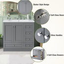 Shaker Free Standing Bathroom Vanity Cabinet With Sink, Soft Close Drawers, Soft Close Doors by Unique Piece Furniture