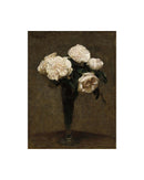 White Roses