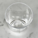 Oval Halo Acrylic Glasses (Set of 4)
