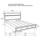 Orchid - Storage Panel Bed by HouseOfZazla