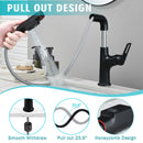 Pull Down Vessel Faucet With Lift Spout & Dual Spray Modes by HouseOfZazla