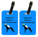 Luggage Tag