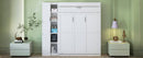 Murphy Wall Bed With Shelves, Wardrobe And LED Lights by HouseOfZazla