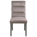 Carla Velvet Upholstered Dining Side Chair Ash (Set of 2)