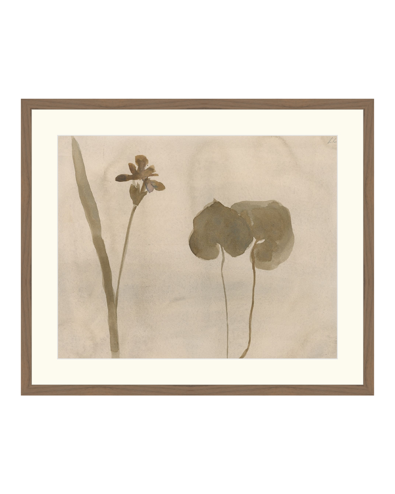 Botanical Thoughts II