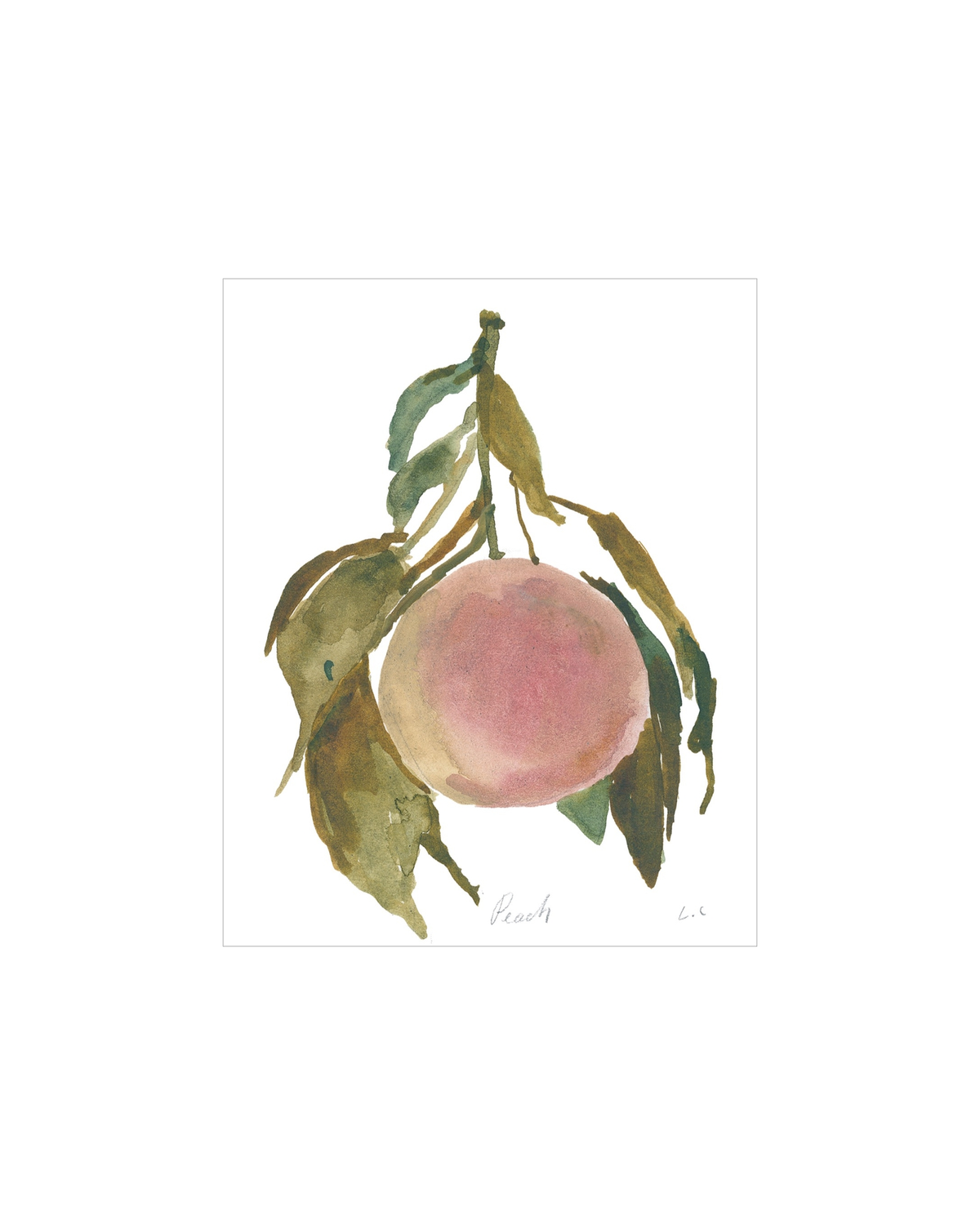 Peach, photo 2 of 27