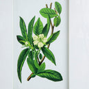Botanical Flower Wall Art, Home Decor For Living Room Dining Room, Bedroom, Hallway (Set of 4) - White / Blue by HouseOfZazla