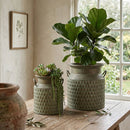 S/2 Iron Milk Jug Planters with Textured Green Finish by HouseOfZazla