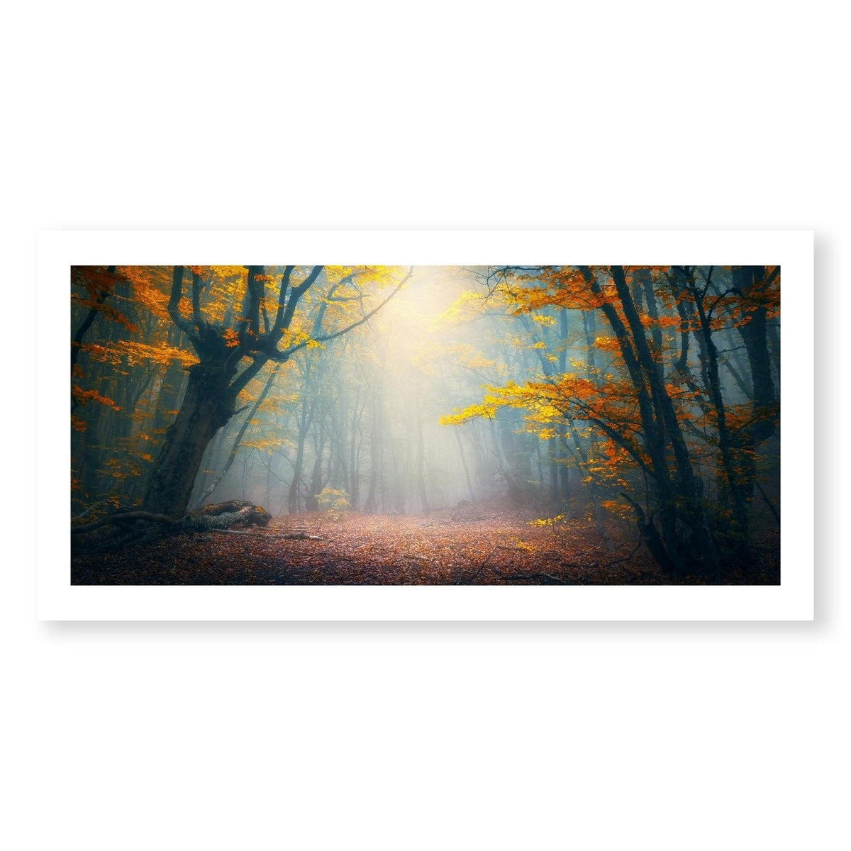 Fairytale Forest Print, photo 3 of 8