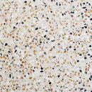 Fallen Leaves Honed Terrazzo Tiles 24x24